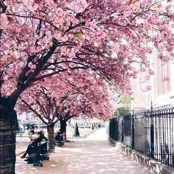 🌼✨ w e l c o m e ✨🌼 - Picture 5 of 15